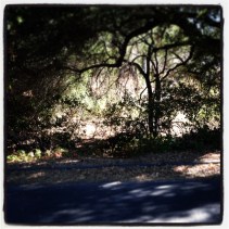 Pretty sure I heard something over there, eek!