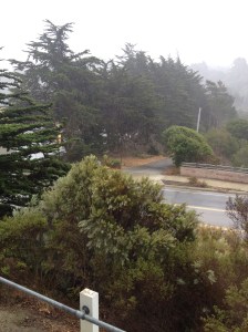 It really is raining!