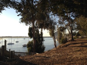 I can see clearly now!