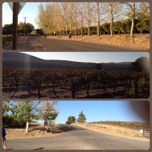 The runners and the course :)