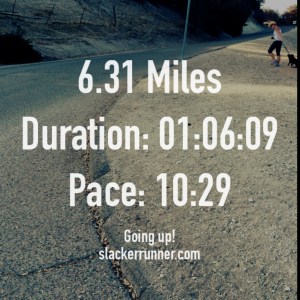 Hill in the background, Zoey chewing her leash in front :)