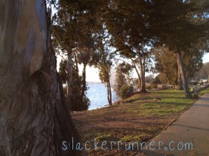 same location, new angle