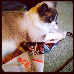 The thief strikes again