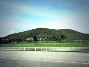 This will be the expo!