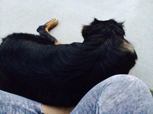 This is how we hung out