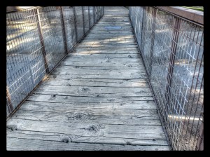 End of the playground