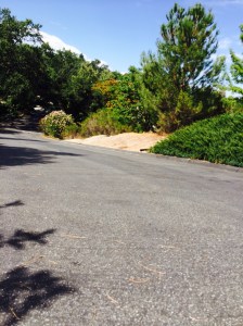 Halfway up said hill