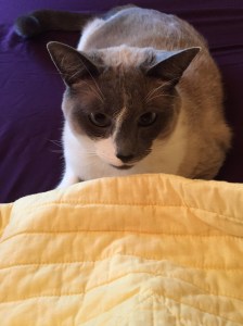 Well, she was happy until I got up