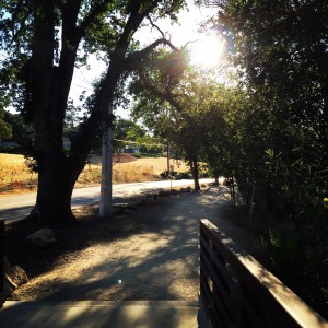 Stretching site- grr