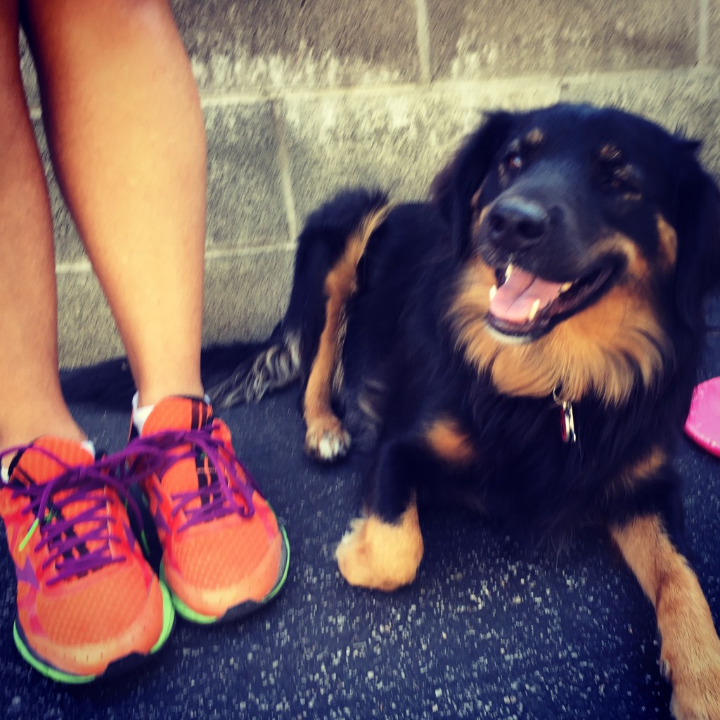 Post run puppy visit